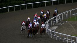 Kempton stages eight races on Wednesday