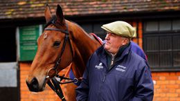 Paul Nicholls has a Gold Cup contender in Bravemansgame