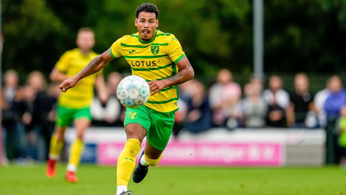 Norwich will be without Onel Hernandez for some time after he broke his foot in training