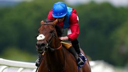 Sir Michael Stoute's Bay Bridge can bounce back from defeat at Royal Ascot against young guns Vadeni and Native Trail