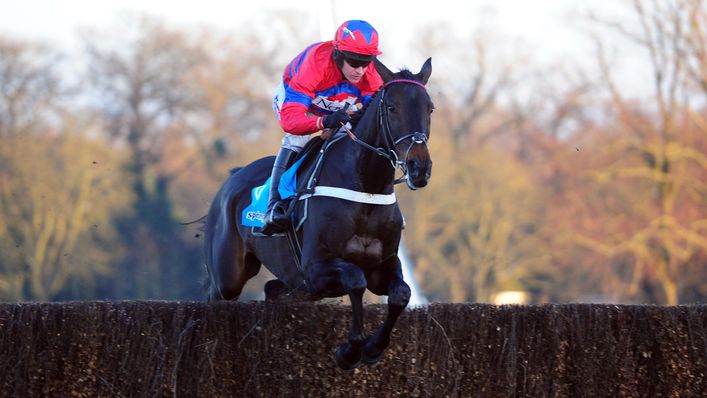 Sprinter Sacre en route to victory in the Tingle Creek Chase in 2012