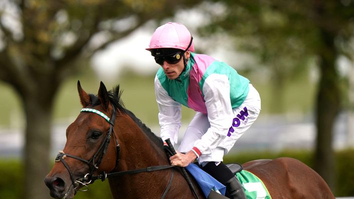 Lead Arstist is favoured to enjoy success in the Thoroughbred Stakes