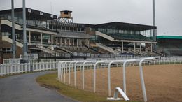 Newcastle stages six races in the Racing League this evening