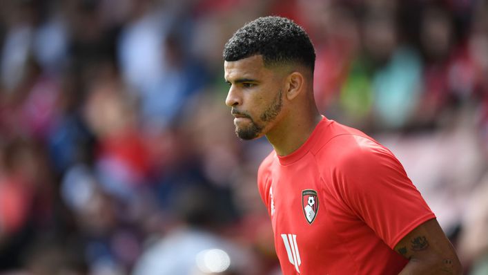 Dominic Solanke has had an outstanding season for Bournemouth