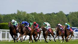 The Sky Bet Sunday Series action at Sandown is our focus