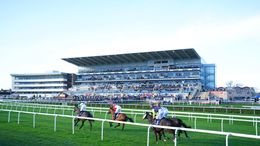 Doncaster racecourse hosts seven contests on Friday