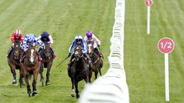 All eyes will be on Epsom this week for the Derby Festival