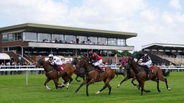 It is Sprint Cup day at Haydock Park today