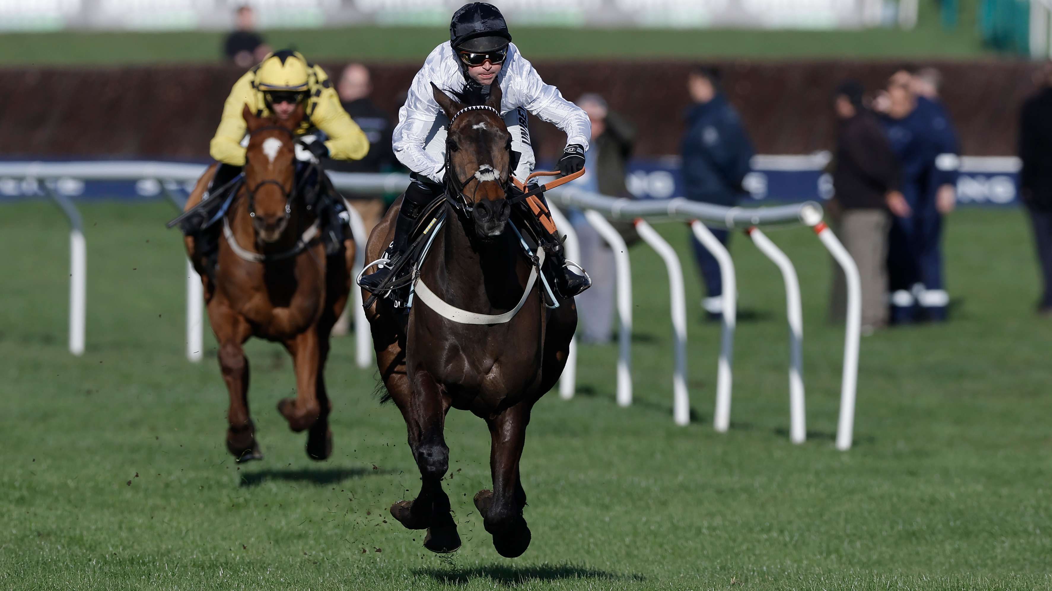 Constitution Hill ruled out of Champion Hurdle defence at Cheltenham