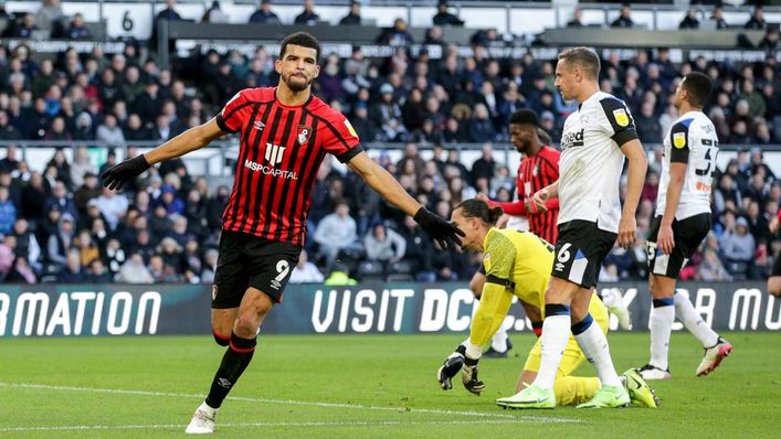 Dominic Solanke was prolific during Bournemouth's Championship promotion campaign
