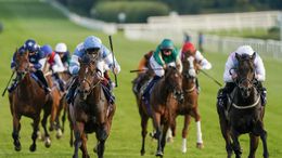 Patient Dream will be eyeing Epsom success