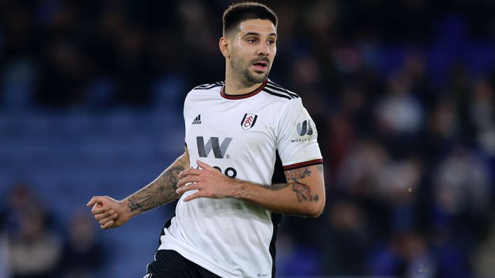 Aleksandar Mitrovic has been in deadly form for Fulham