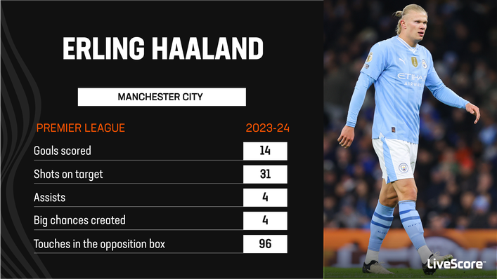 Erling Haaland was enjoying another impressive season before his injury