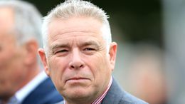 Stuart Williams has confirmed Desert Dreamer's next outing is likely to come at York