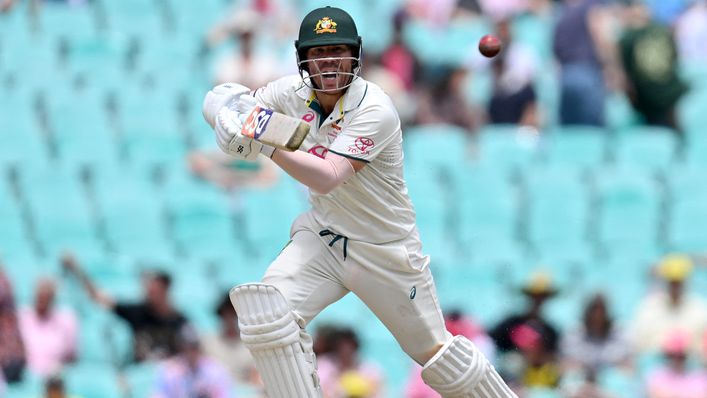 David Warner scored a half-century in his final Test innings for Australia