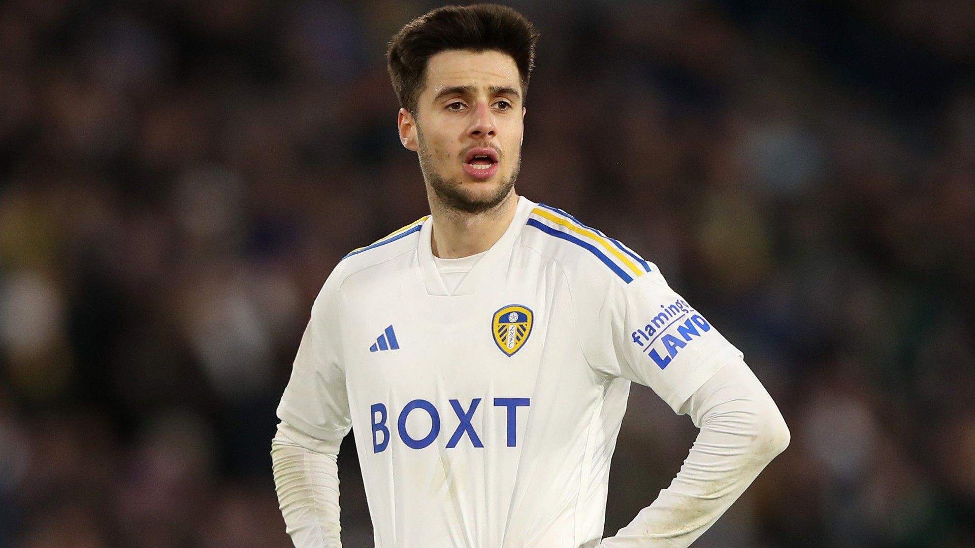 Ilia Gruev relishing Premier League test after Leeds' FA Cup triumph |  LiveScore