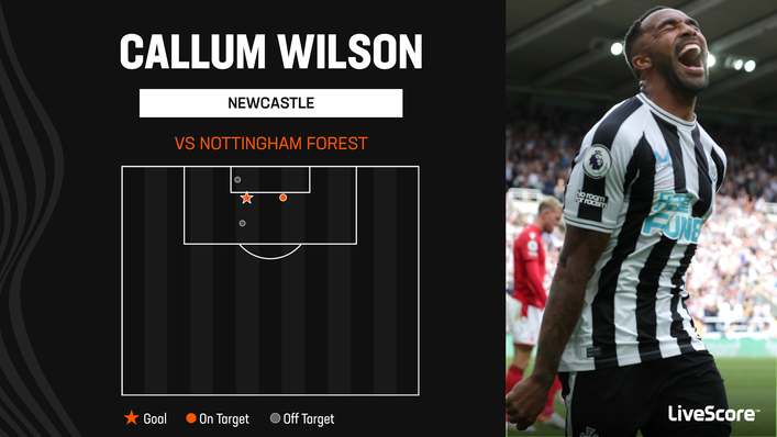 Callum Wilson had four shots on goal in Newcastle's clash with Nottingham Forest