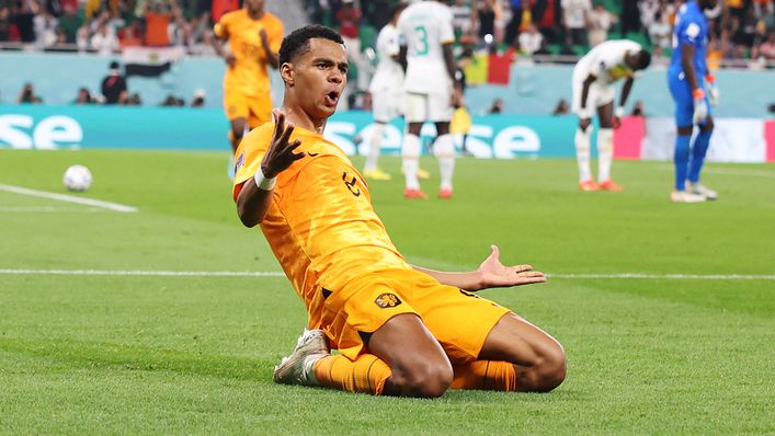 Netherlands forward Cody Gakpo's transfer value keeps rising with his World Cup displays