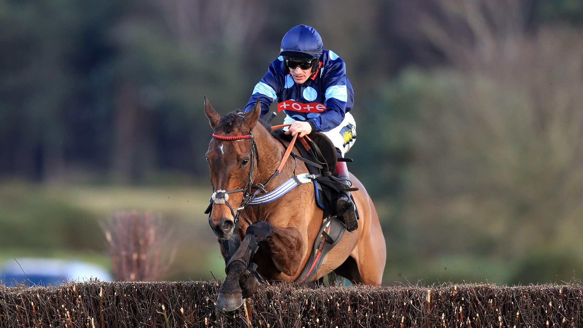 LiveScore Racing News O'Brien pinning hopes on Final Nudge LiveScore