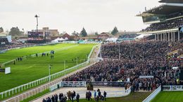 The Cheltenham Festival is the mecca for jump-racing fans with as many as 75,000 expected on Gold Cup Day