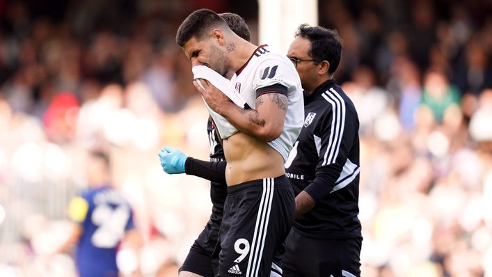 Aleksandar Mitrovic is a doubt for Fulham this weekend