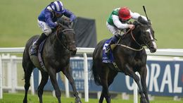 Pyledriver (right) has been ruled out of the King George Stakes