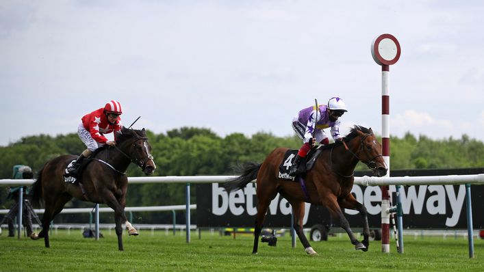 There's an exciting day of Flat racing ahead at Haydock