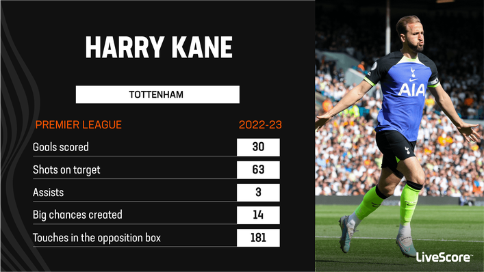 Harry Kane hit 30 Premier League goals this season