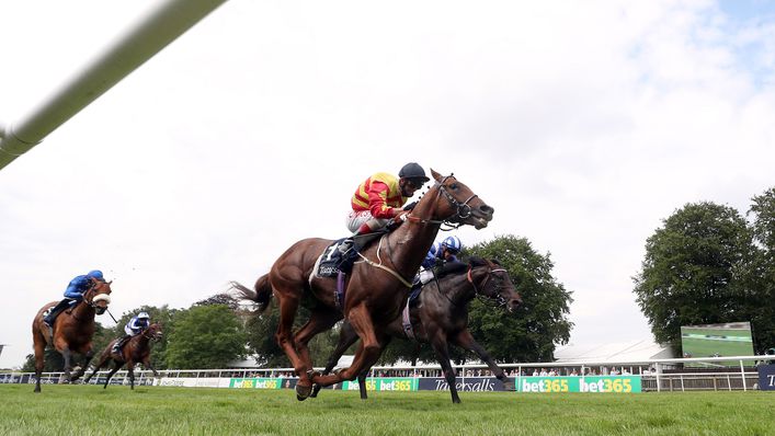 Franny Norton steers Sir Ron Priestley to victory.