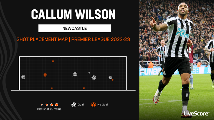 Callum Wilson has been clinical in front of goal for Newcastle this term