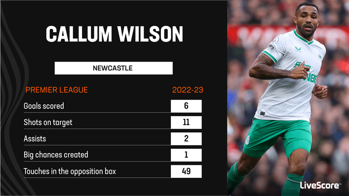 Callum Wilson has lead the line superbly for Newcastle this season