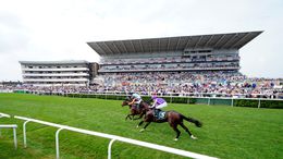Doncaster racecourse is the setting for Friday's action