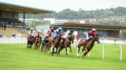 Newton Abbot will be hosting a seven-race jumps card on Sunday