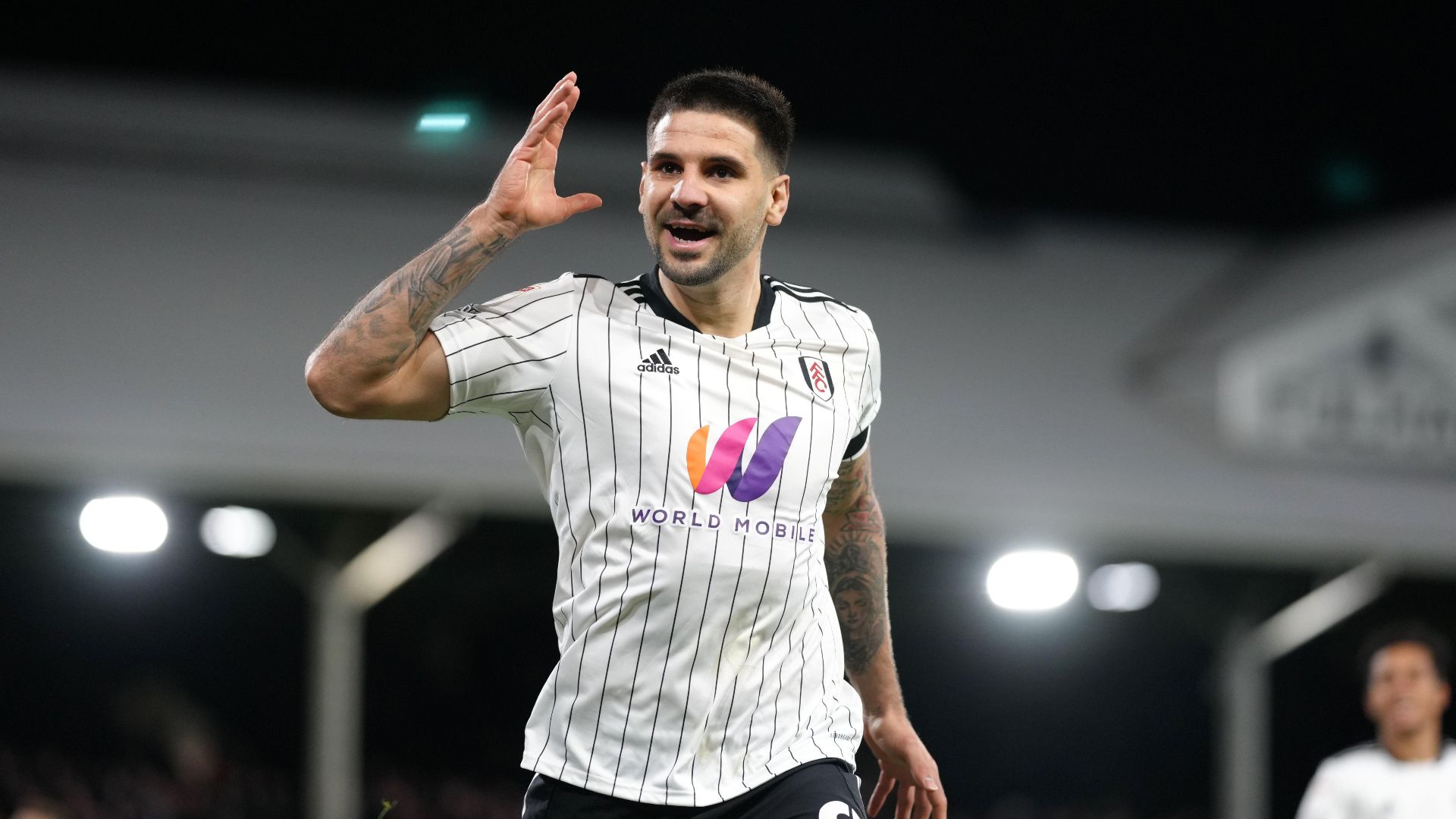 In Focus: Fulham's Aleksandar Mitrovic will be desperate to prove he is ...