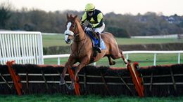 Lime Drop is expected to shine at Kempton on Friday