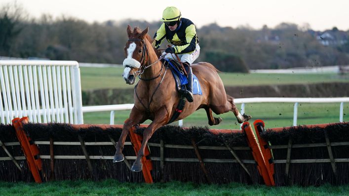 Lime Drop is expected to shine at Kempton on Friday