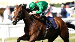 Candleford looks capable of landing one of Goodwood's feature races for William Haggas