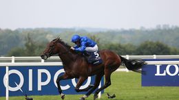 Adayar remains in contention for the Champion Stakes at Ascot