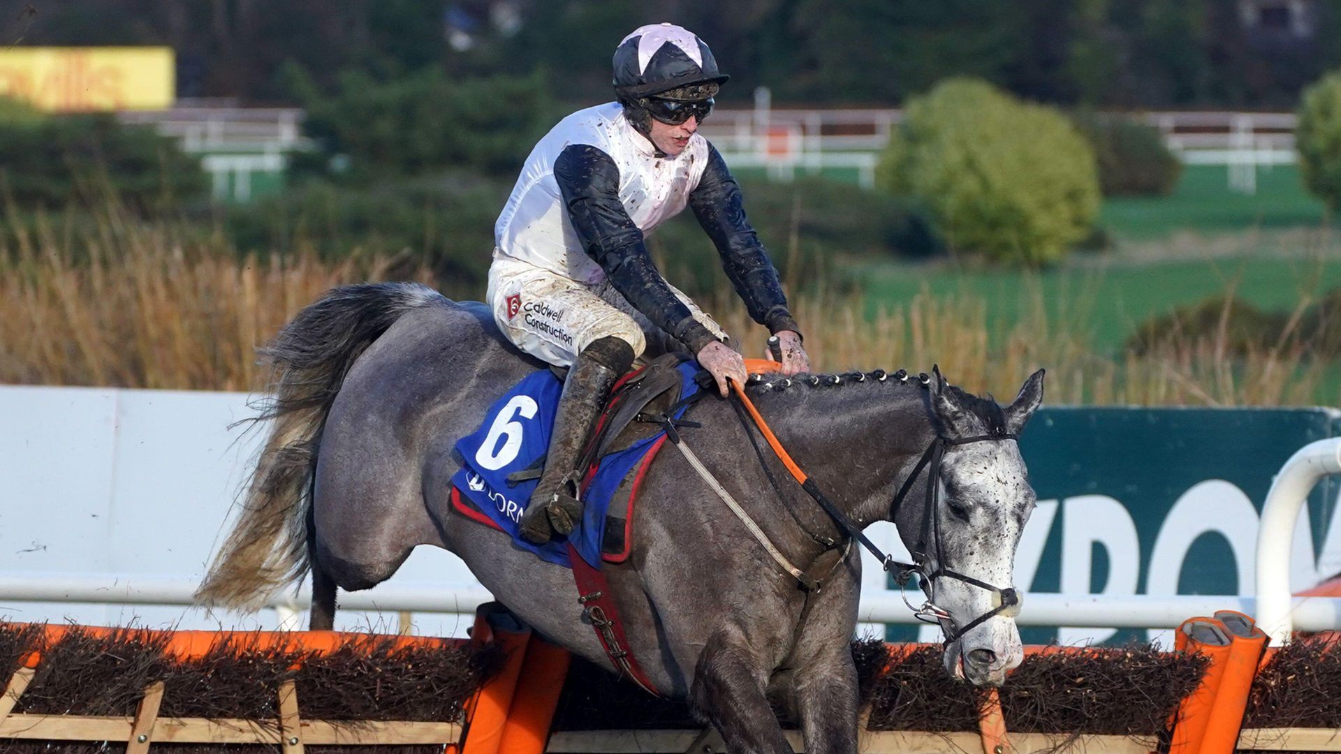 Cheltenham Festival Day 1 predictions Irish Point to spring a surprise