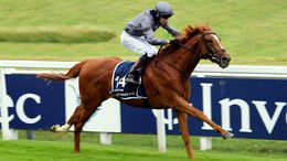 Serpentine has been supplemented for the Gold Cup