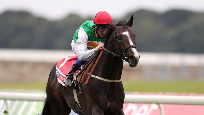 Pyledriver preparing for Hong Kong bid with run at Lingfield