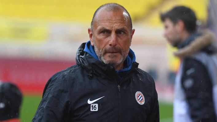 Michel Der Zakarian's Montpellier look to have the firepower to overcome Ligue 1 new boys Le Havre