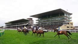 Sunday's focus centres firmly on the final day of Cheltenham's November Meeting