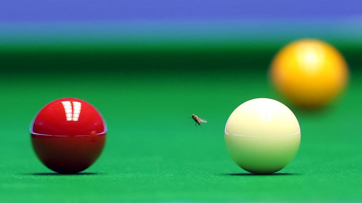 A fly on the table at the Masters