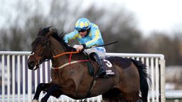 Mahler Mission is a leading contender for the Grand National at Aintree on Saturday afternoon.