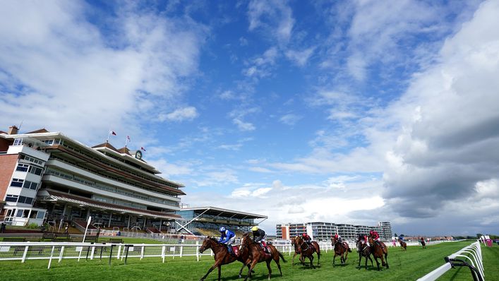 Newbury racecourse is the focus of our Friday preview