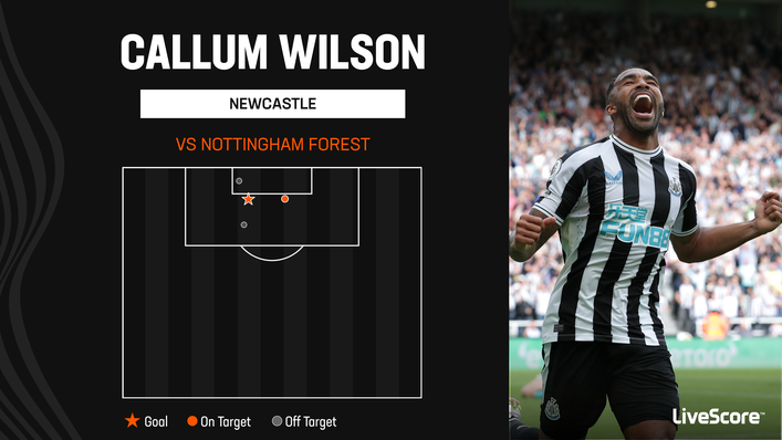 Callum Wilson got up and running for the season with a tidy finish against Nottingham Forest