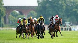 Worcester's seven-race jumps card is our Monday focus