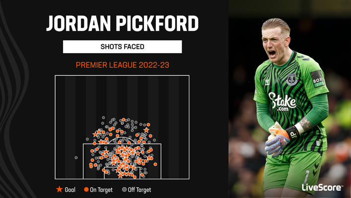 Jordan Pickford has faced more than his fair share of shots this season