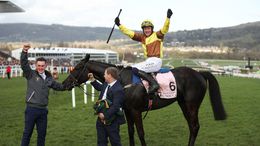 Galopin Des Champs won the Gold Cup at Cheltenham in 2023 and is set to defend his crown on March 15